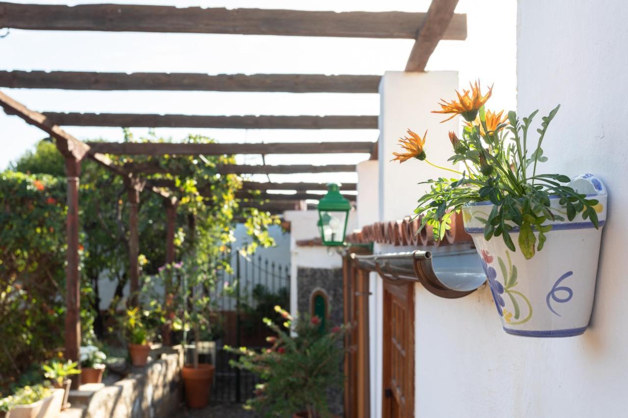 Casa Del Cura Viejo Guest House Arafo Exterior photo